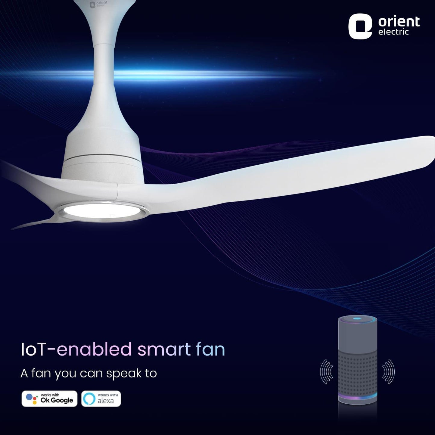 Aerosense Smart BLDC Ceiling Fan Underlight Ash Wood