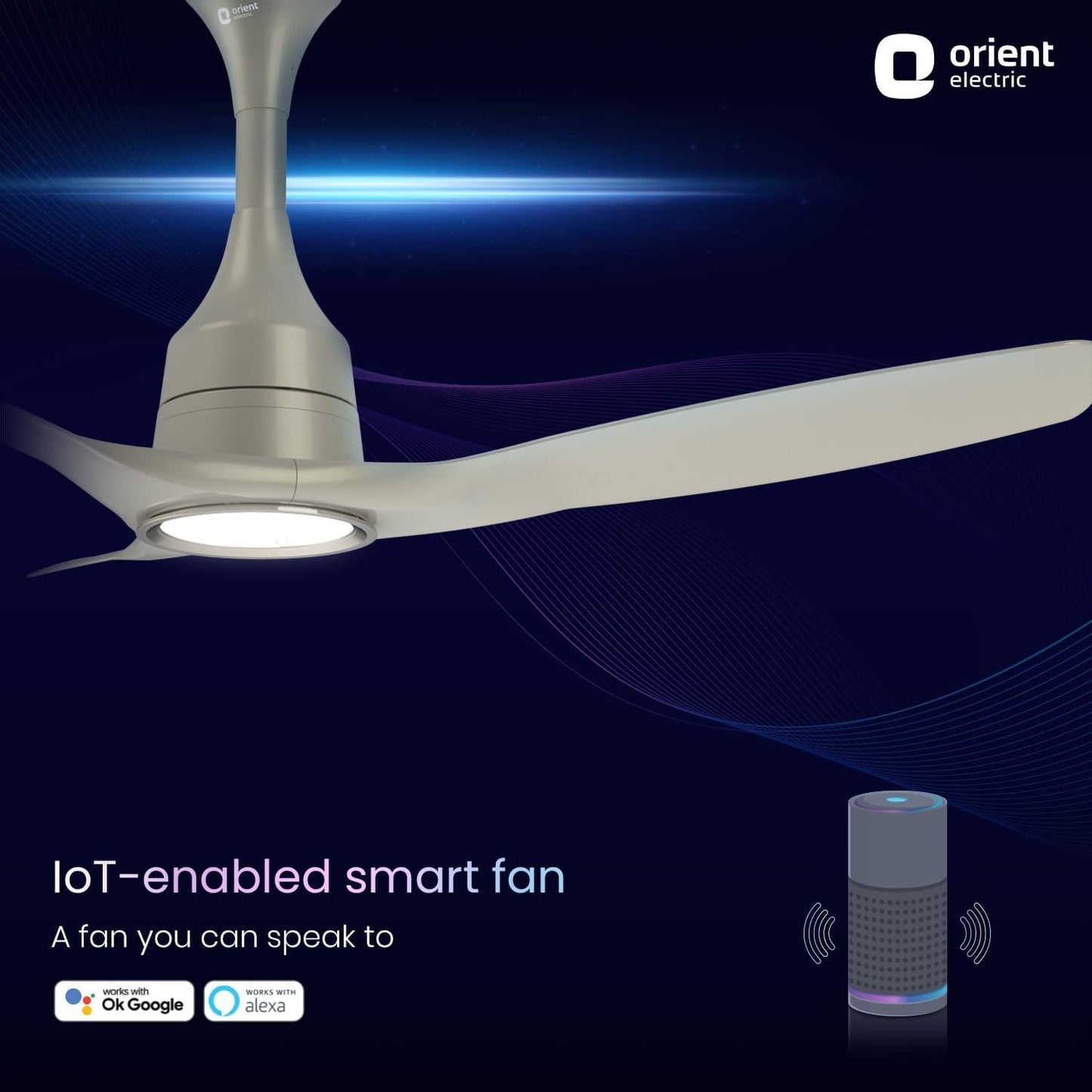 Aerosense Smart BLDC Ceiling Fan Underlight Ash Wood
