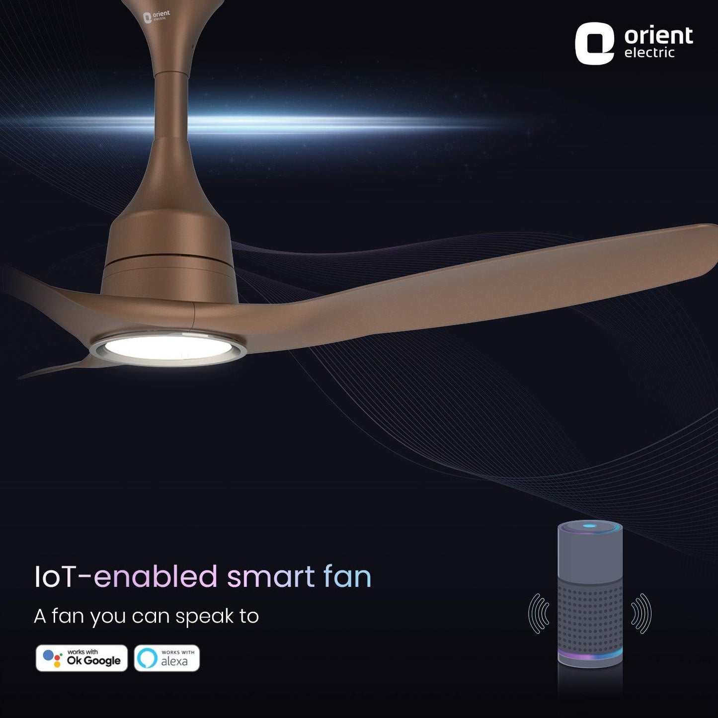 Aerosense Smart BLDC Ceiling Fan Underlight Ash Wood