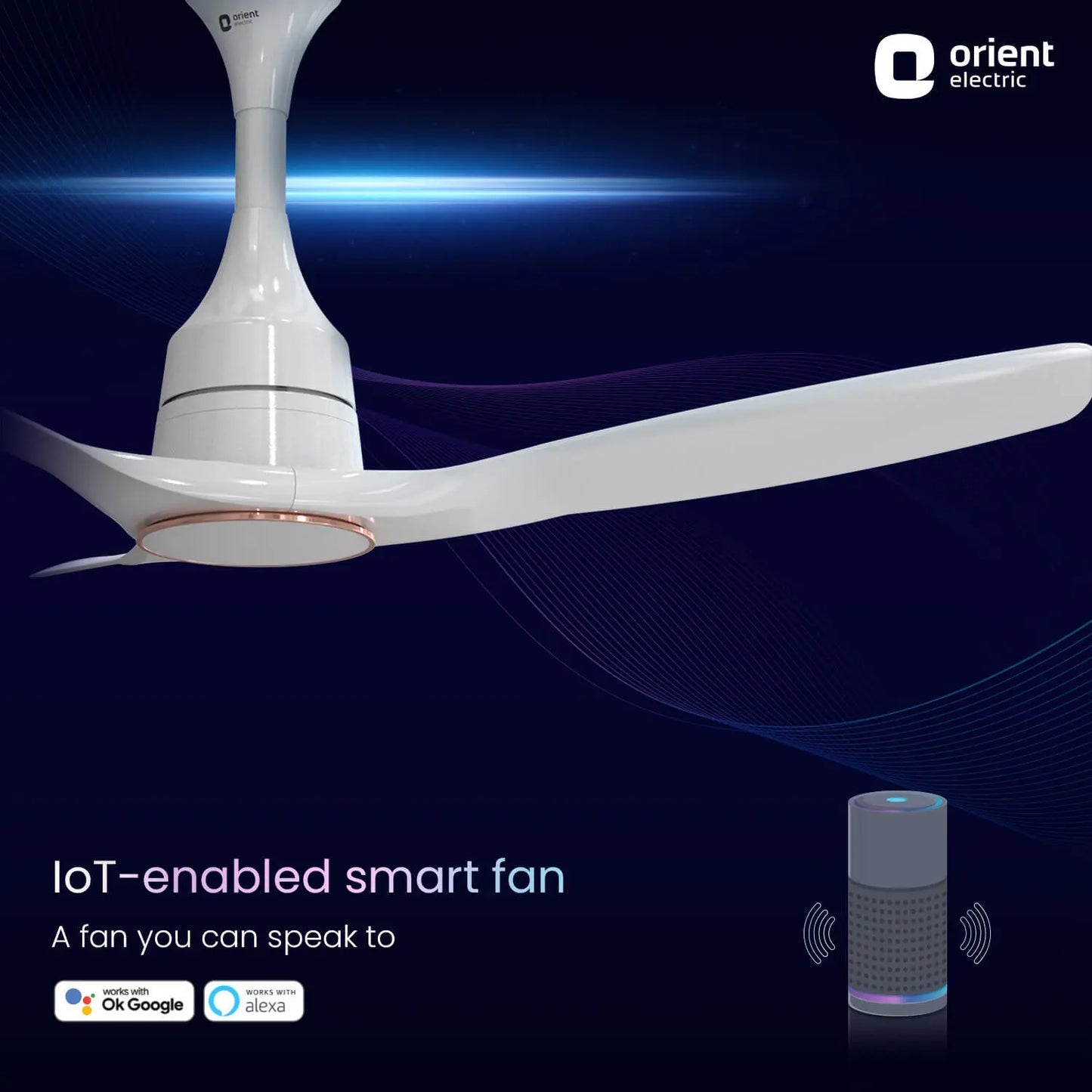 Aerosense Smart BLDC Ceiling Fan Underlight Ash Wood