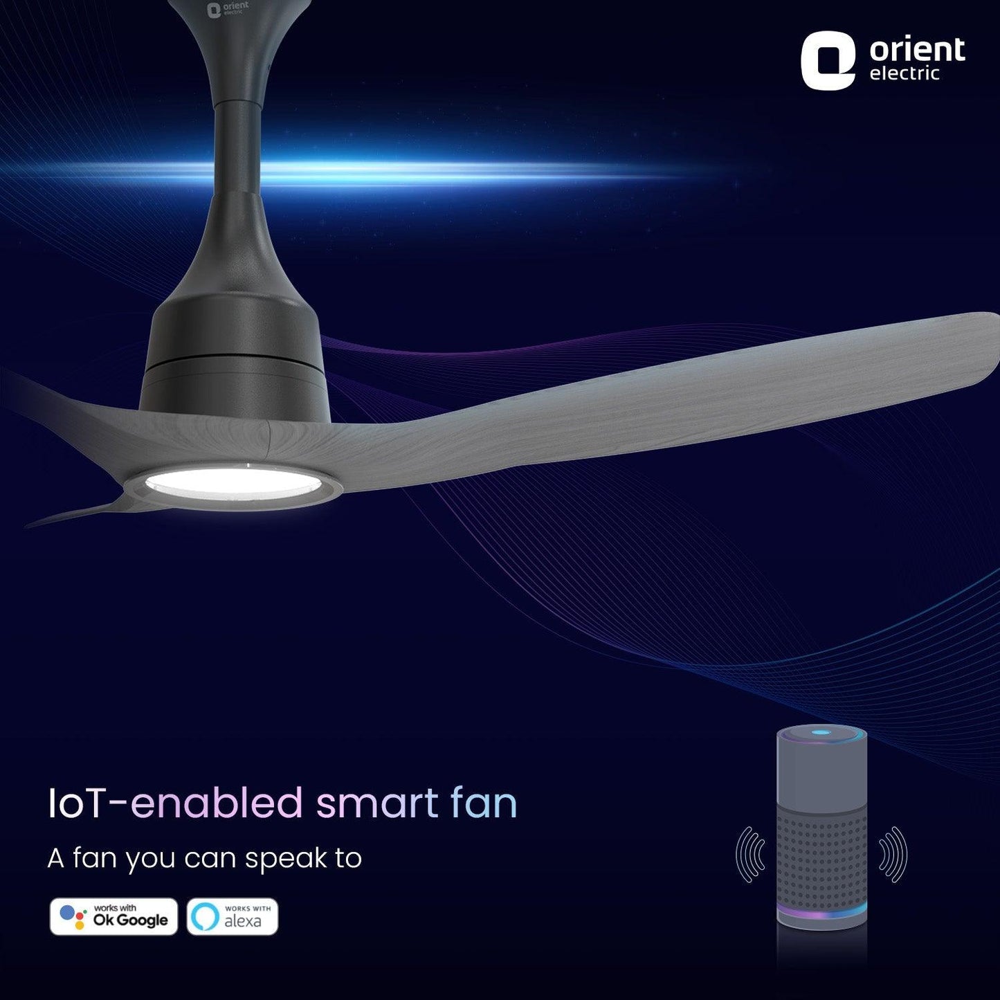 Aerosense Smart BLDC Ceiling Fan Underlight Ash Wood