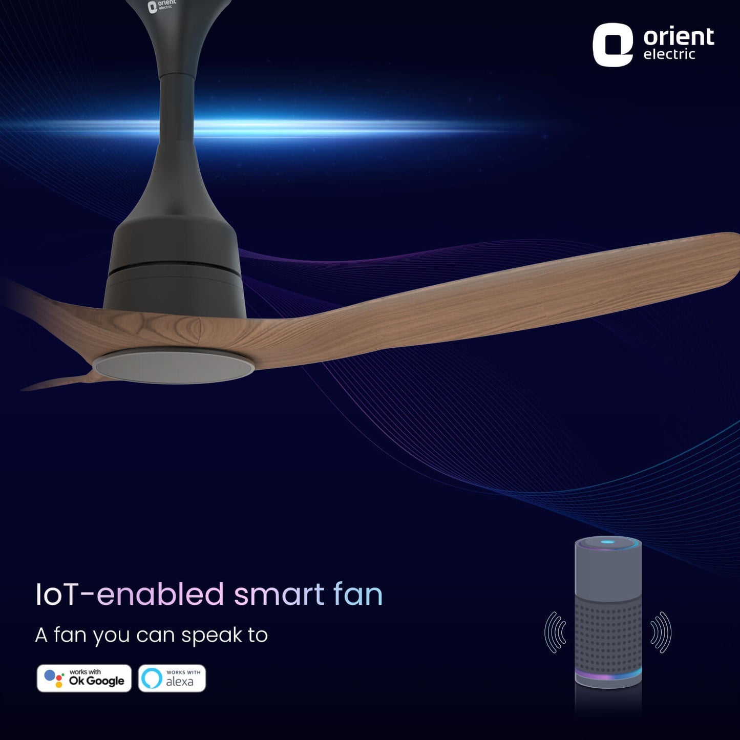 Aerosense Smart BLDC Ceiling Fan Underlight Ash Wood