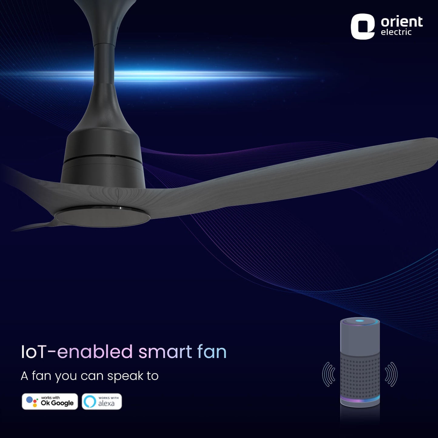 Aerosense Smart BLDC Ceiling Fan Underlight Ash Wood