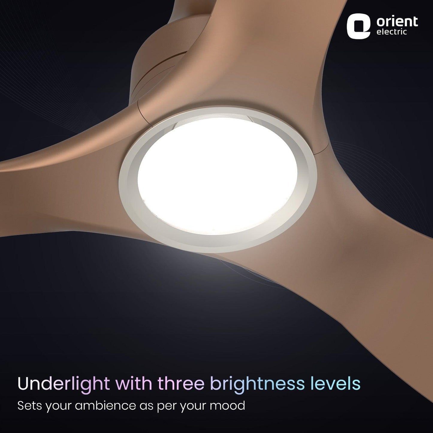 Aerosense Smart BLDC Ceiling Fan Underlight Ash Wood