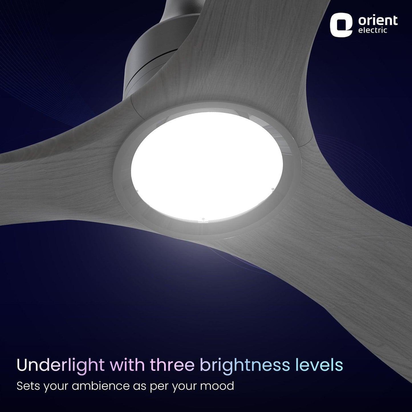 Aerosense Smart BLDC Ceiling Fan Underlight Ash Wood