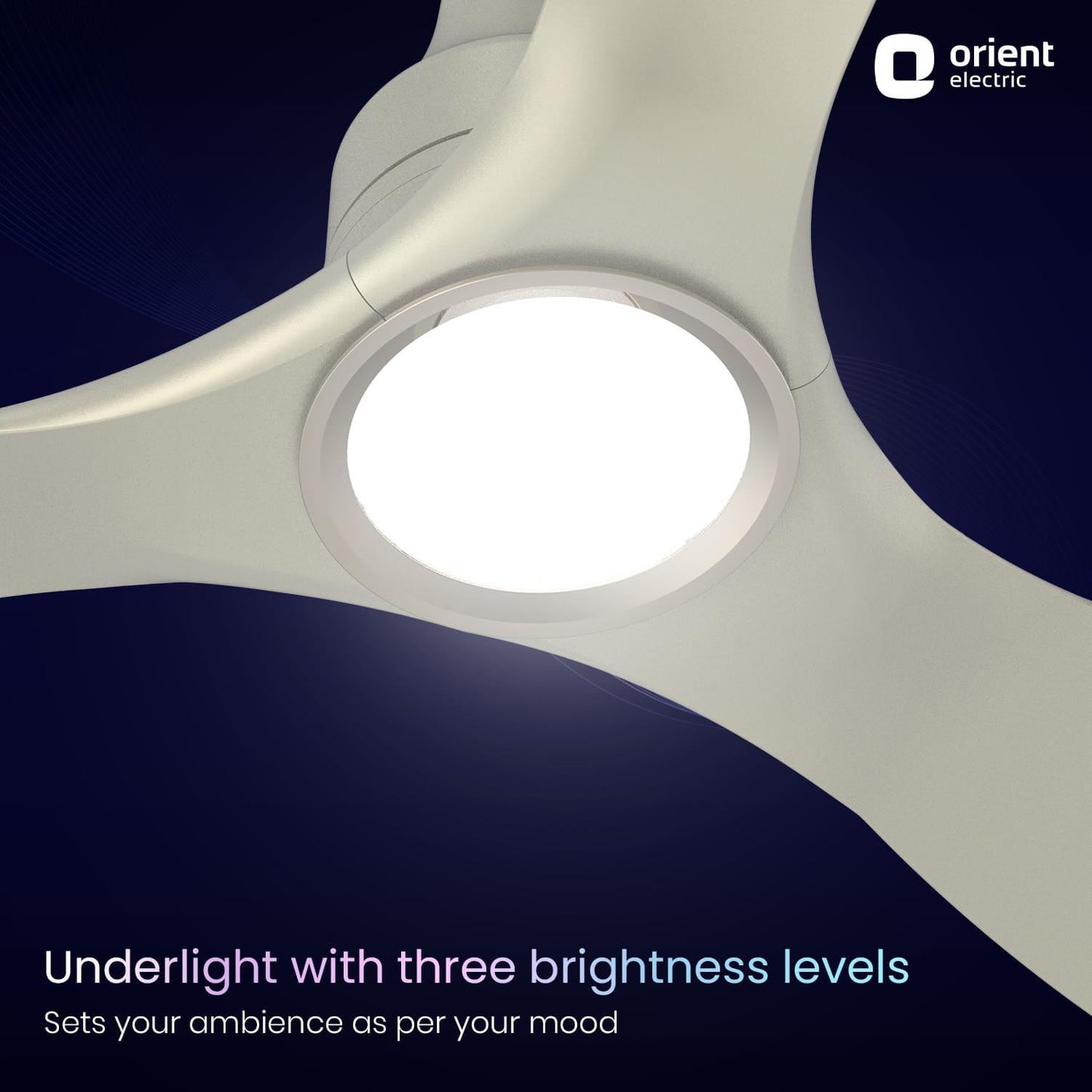 Aerosense Smart BLDC Ceiling Fan Underlight Ash Wood