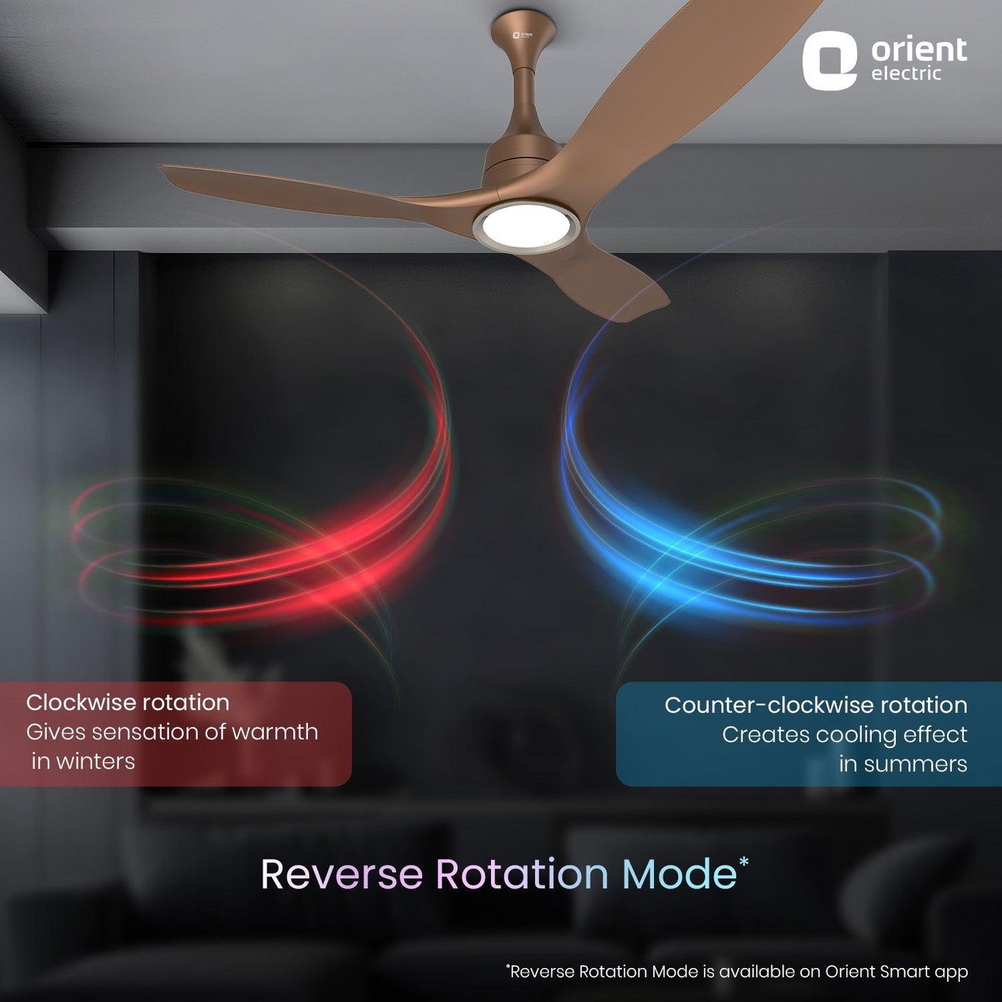 Aerosense Smart BLDC Ceiling Fan Underlight Ash Wood