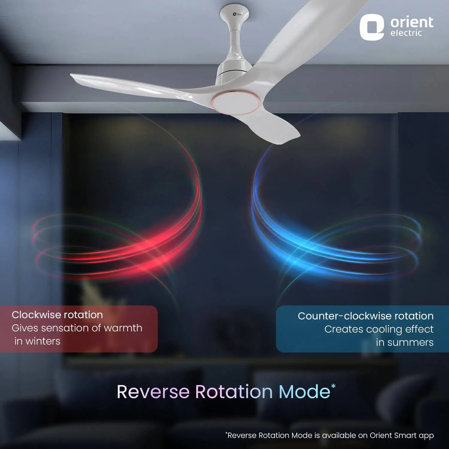 Aerosense Smart BLDC Ceiling Fan Underlight Ash Wood