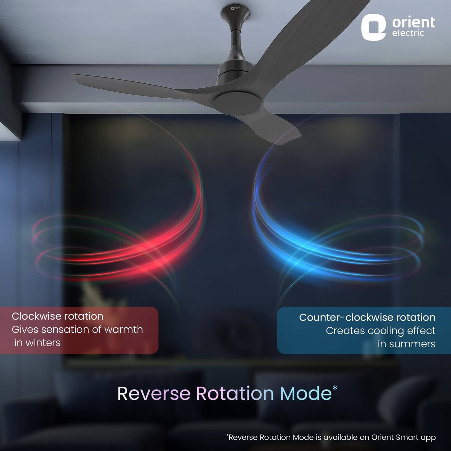 Aerosense Smart BLDC Ceiling Fan Underlight Ash Wood