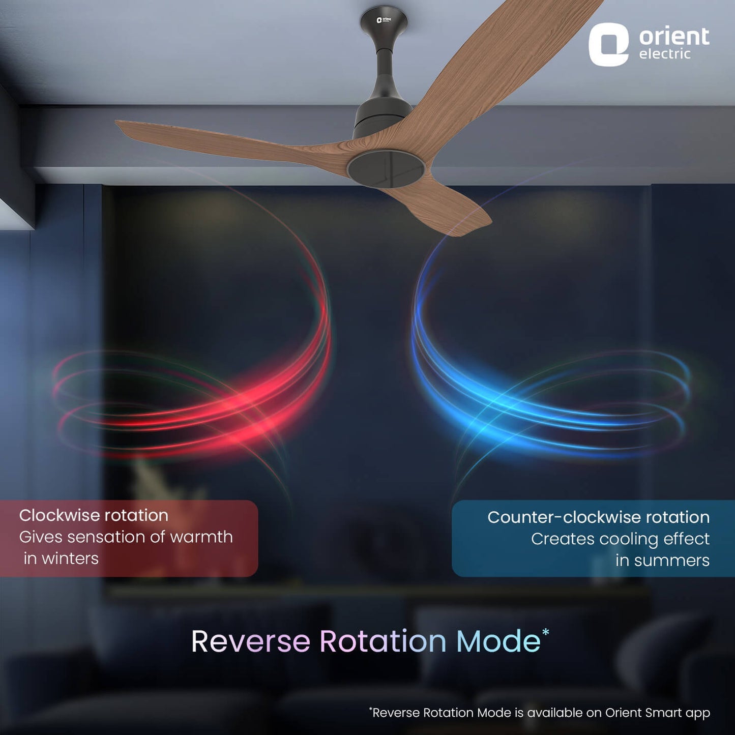 Aerosense Smart BLDC Ceiling Fan Underlight Ash Wood