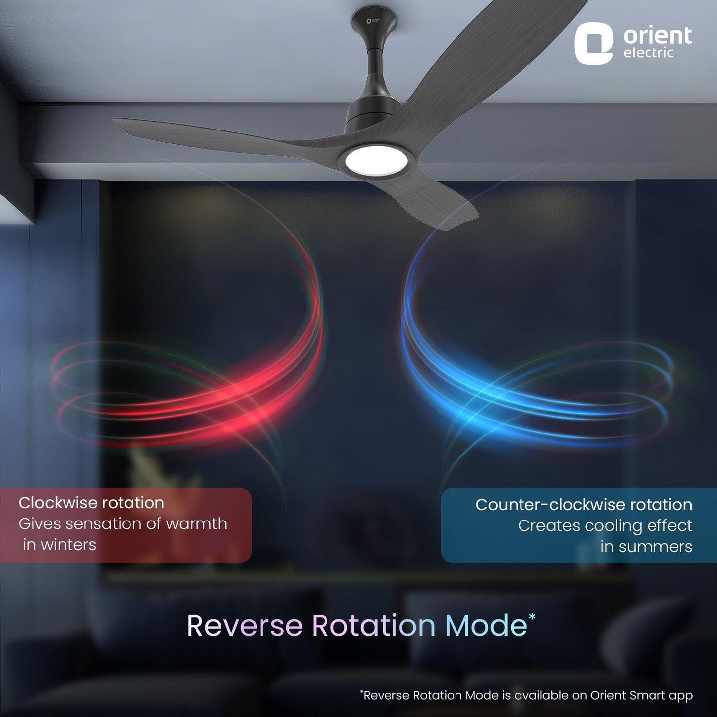 Aerosense Smart BLDC Ceiling Fan Underlight Ash Wood
