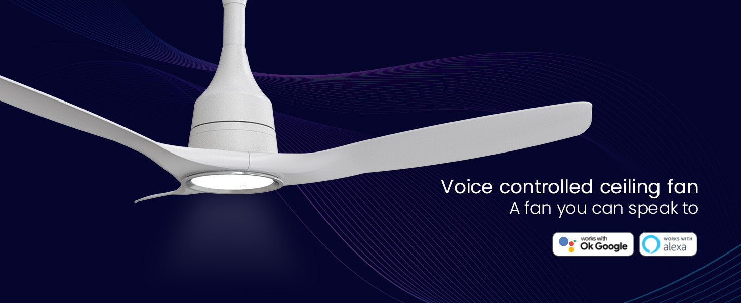 Aerosense Smart BLDC Ceiling Fan Underlight Ash Wood