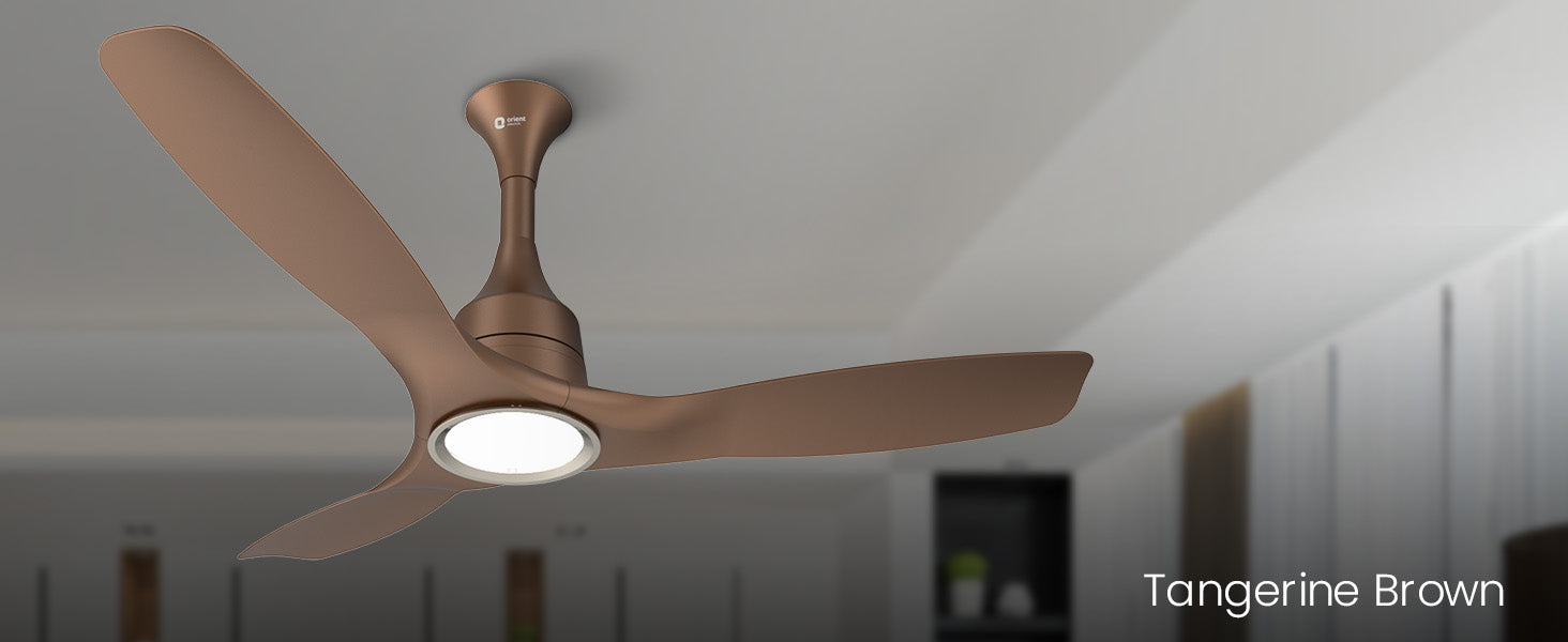 Aerosense Smart BLDC Ceiling Fan Underlight Ash Wood